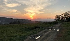 427_iP_181009_IMG_3175