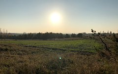 273_iP_181110_IMG_3242