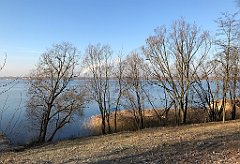 008_iP_181130_IMG_3253