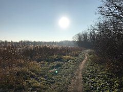 019_iP_181130_IMG_3268