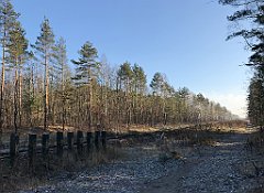 052_iP_181130_IMG_3290