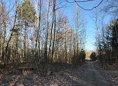 063_iP_181130_IMG_3299