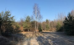 064_iP_181130_IMG_3300