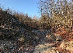 067_iP_181130_IMG_3303