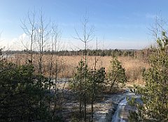 097_iP_181130_IMG_3316