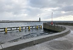 ip_20190114_IMG_3528