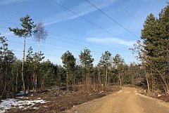 079_ip_190218_IMG_3549