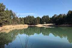 157_ip_190218_IMG_3563