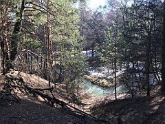 247_ip_190218_IMG_3607