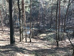 250_ip_190218_IMG_3611