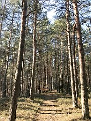 252_ip_190218_IMG_3613