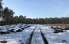 296_ip_190218_IMG_3633
