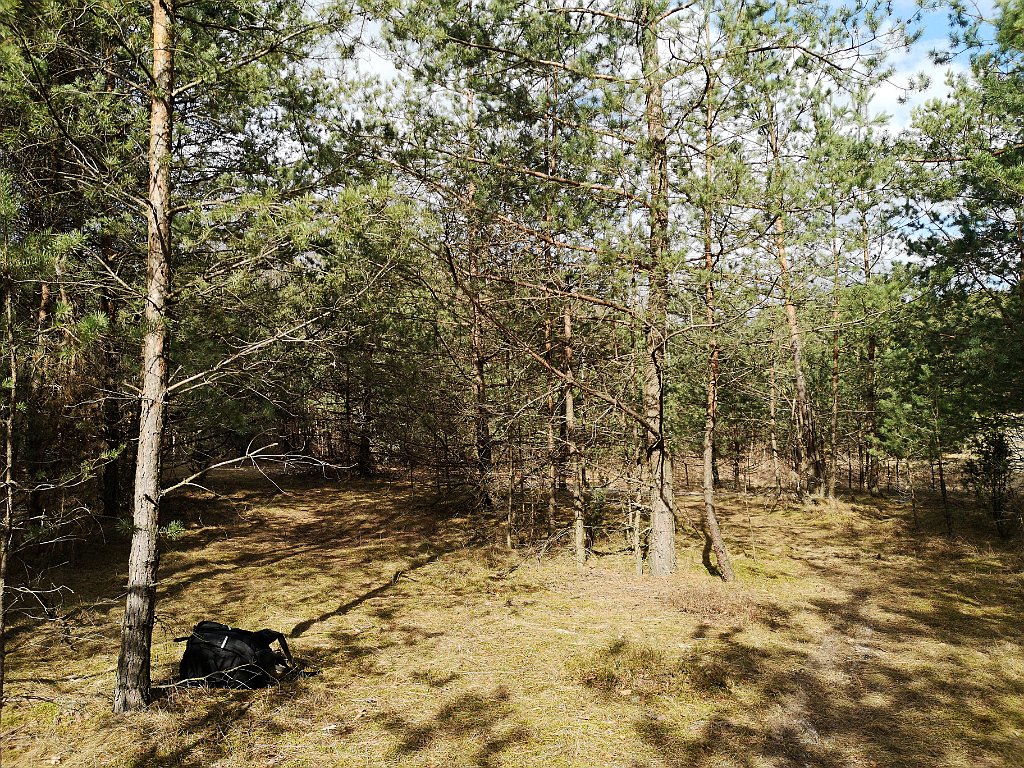 143_p20_IMG_20190320_123333.jpg - rrem