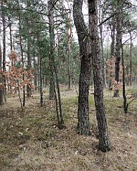 139_p20_IMG_20190320_124451