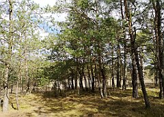 140_p20_IMG_20190320_123318