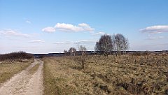 236_p20_IMG_20190320_153255