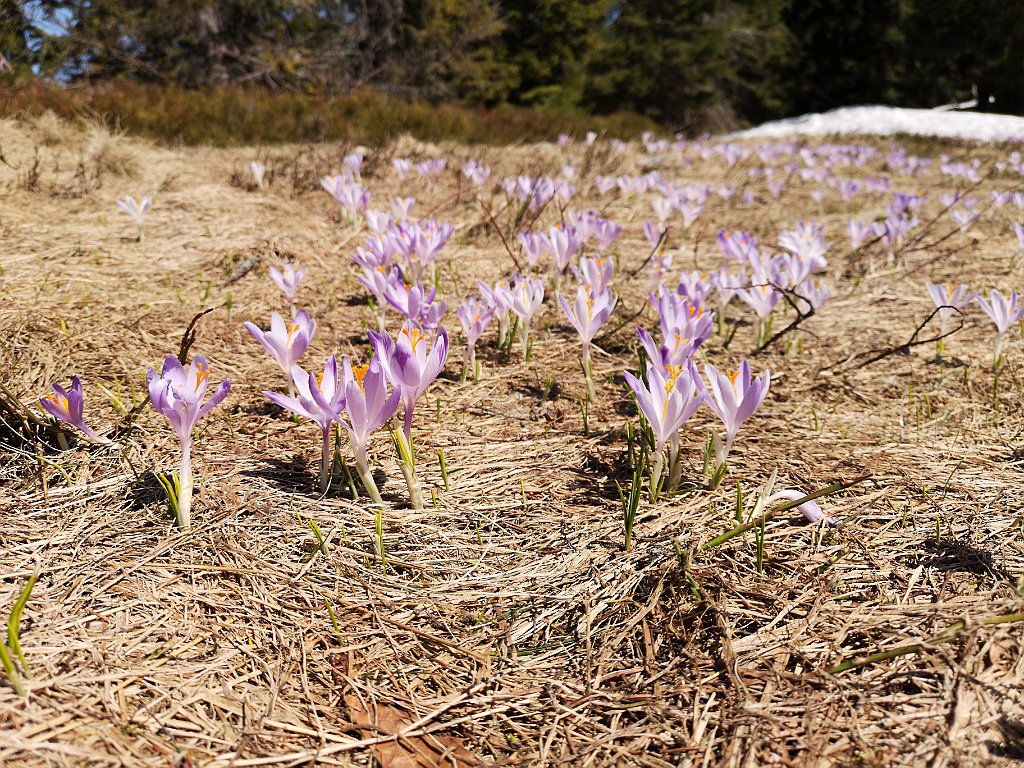 143_p20_IMG_20190420_131540.jpg - rrem