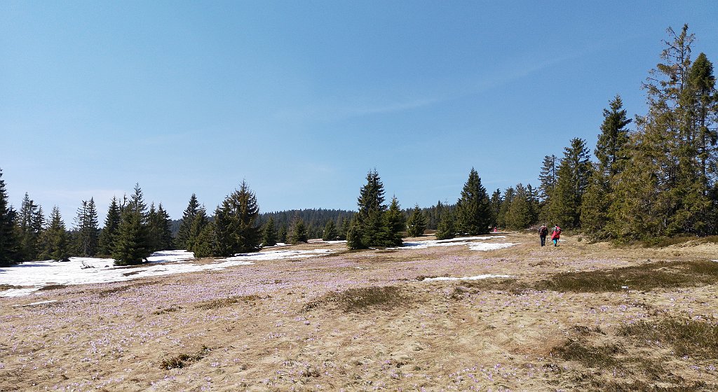 147_p20_IMG_20190420_131633.jpg - rrem