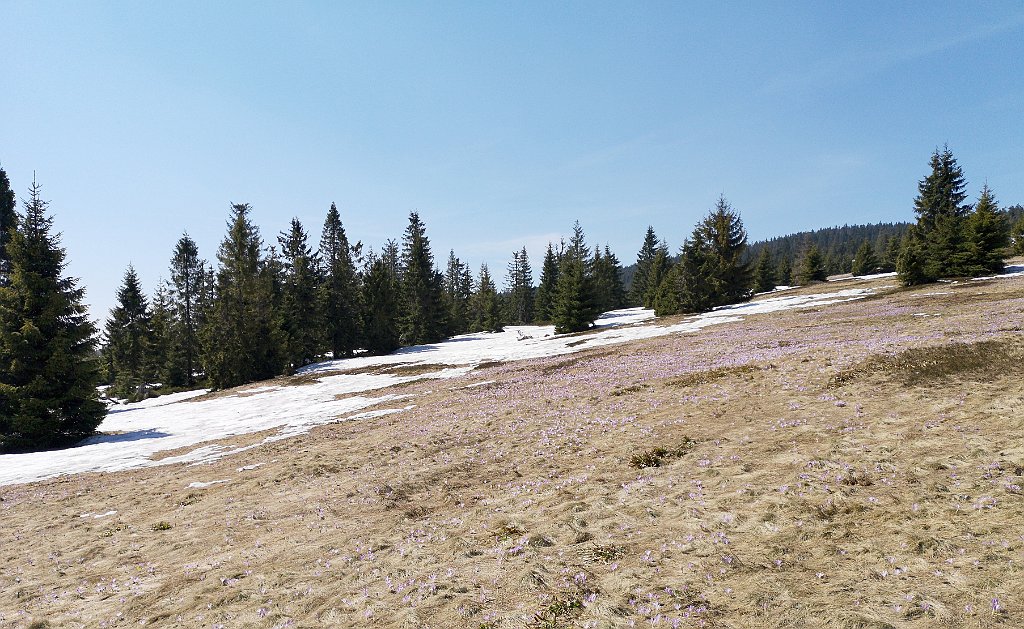 148_p20_IMG_20190420_131636.jpg - rrem