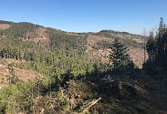 024_iP_190420_IMG_3701