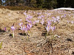 143_p20_IMG_20190420_131540