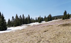 148_p20_IMG_20190420_131636