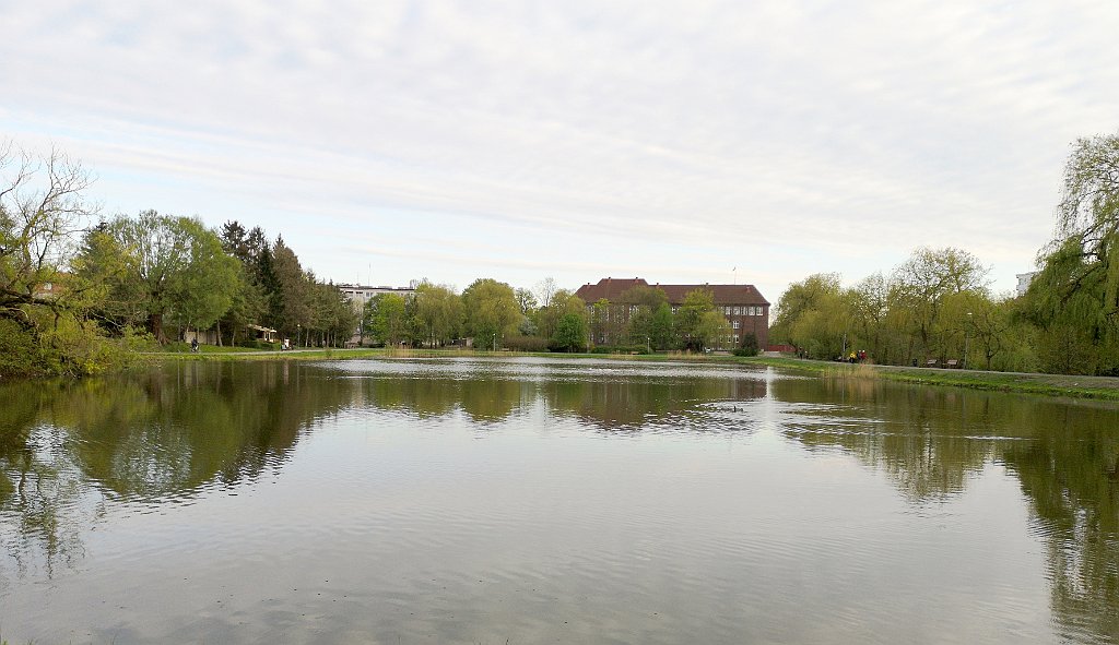 485_p20_IMG_20190430_185930.jpg - rrem