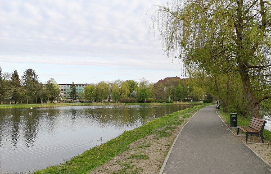 489_p20_IMG_20190430_190116.jpg - rrem