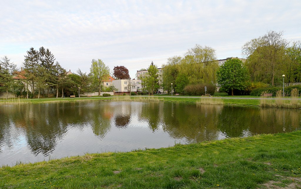 491_p20_IMG_20190430_190241.jpg - rrem