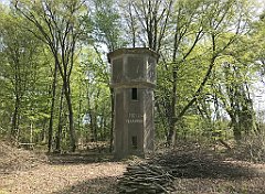 355_iP_20190430_IMG_3852