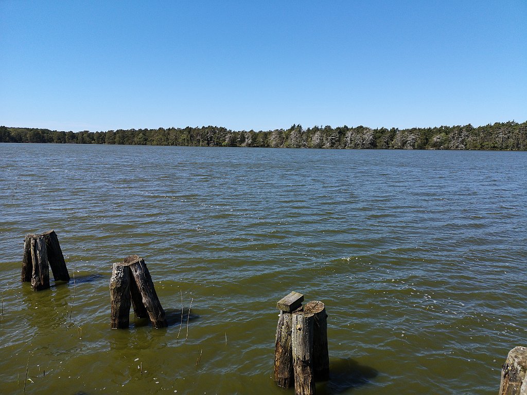 330_p20_IMG_20190505_133034.jpg - rrem