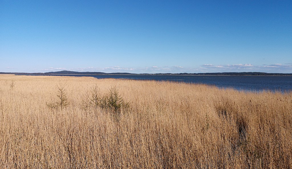 379_p20_IMG_20190505_172506.jpg - rrem