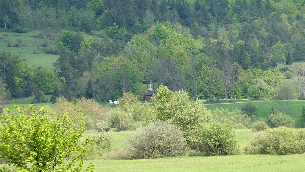 240_TZ90_P1030829.JPG