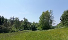 136_p20_IMG_20190610_115438