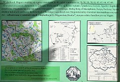 225_iP_190610_IMG_4014