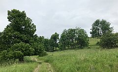 123_iP_190618_IMG_4030