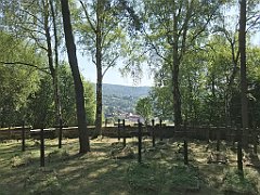 237_iP_190712_IMG_4109