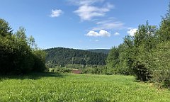 080_iP_190712_IMG_4121