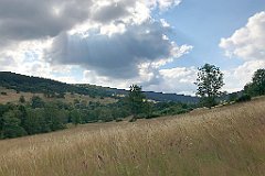 118_iP_190717_IMG_4163