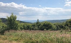 455_iP_190717_IMG_4246