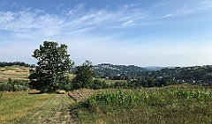 131_iP_190807_IMG_4303