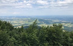 231_iP_190807_IMG_4327