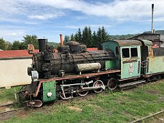 319_iP_190810_IMG_4455