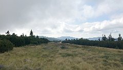 123_iP_190822_IMG_4485