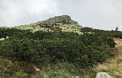 209_iP_190822_IMG_4493