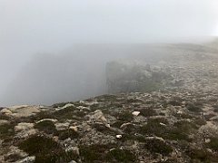 262_iP_190822_IMG_4504