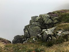 286_iP_190822_IMG_4511