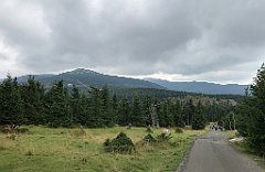 484_iP_190822_IMG_4547