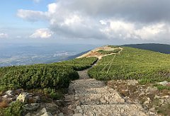 921_iP_190822_IMG_4640