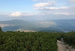 948_iP_190822_IMG_4650